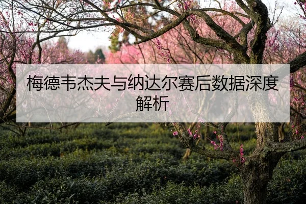 梅德韦杰夫与纳达尔赛后数据深度解析