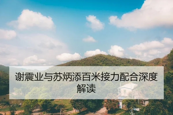 谢震业与苏炳添百米接力配合深度解读